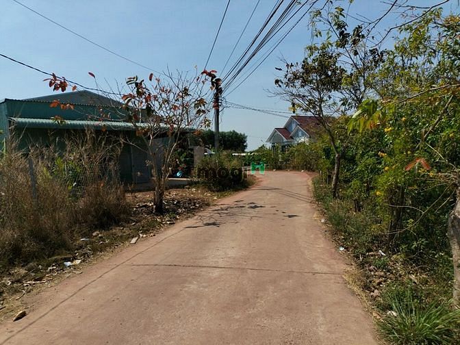 Hình ảnh Đất vườn sẵn 300m THỔ CƯ, nằm trong KDC, SHR