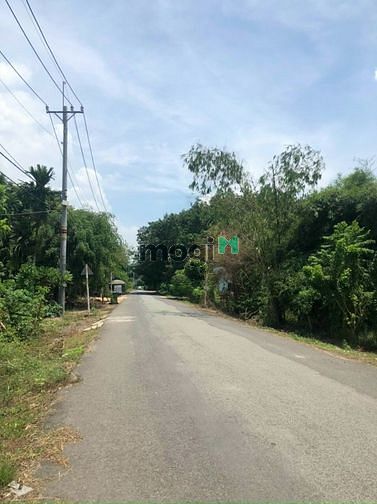 Hình ảnh Bán Gấp Lô Đất Rẻ Chủ Thu Lỗ Vốn Phạm Văn Cội