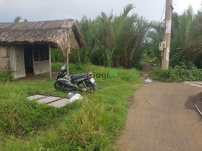Hình ảnh Bán 1668m2 đất mặt tiền cách phà bình khánh cần giờ 1,5km, giá 4,4 tỷ