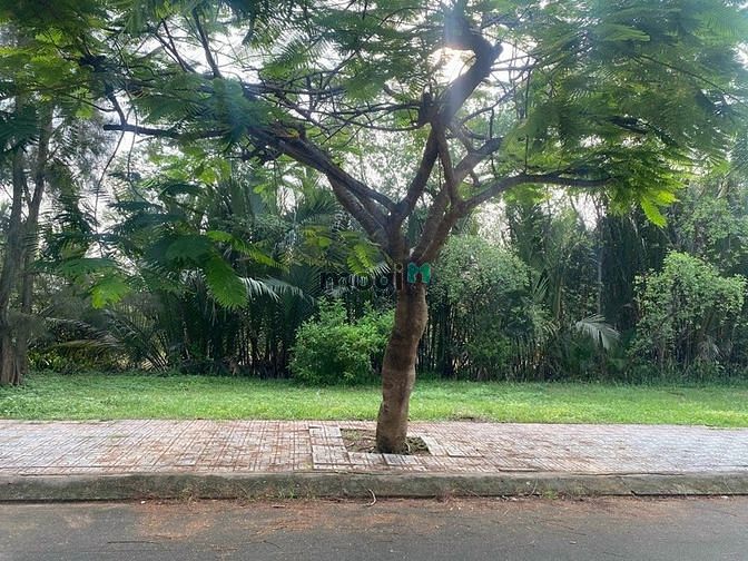Hình ảnh BDS HÙNG VĨ LAND [89tr/m2] Lô MTKD 119 7x20m Đông Bắc Nam Long