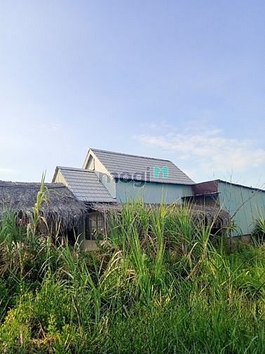 Hình ảnh Bán gấp lô đất đẹp 782m2 xã bình khánh cần giờ giá 2.7 tỷ