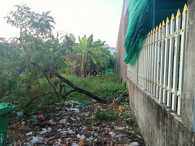 Hình ảnh Chính chủ bán gấp lô đất mặt tiền 171m2 xã bình khánh cần giờ 2tỷ450
