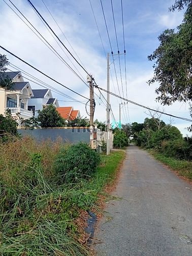 Hình ảnh Chính chủ bán gấp lô đất mặt tiền 8m xã bình khánh cần giờ - 16 tỷ
