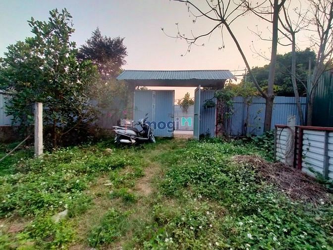 Hình ảnh 1000 m2 cho Thuê nhà+kho nhỏ+đất vườn