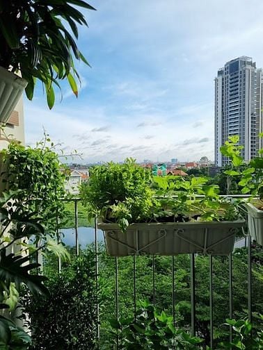 Hình ảnh Cập nhật CH cho thuê 1PN 2PN 3PN giá chính chủ tại Masteri Thảo Điền
