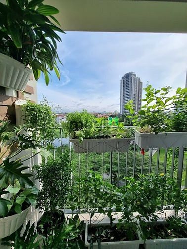 Hình ảnh Cập nhật CH cho thuê 1PN 2PN 3PN giá chính chủ tại Masteri Thảo Điền