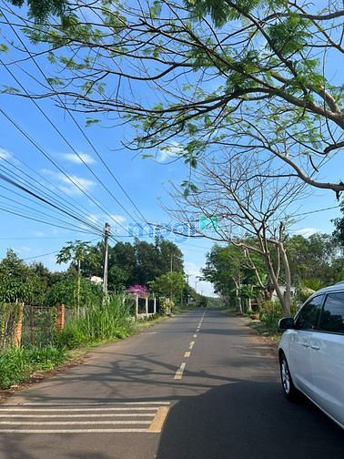 Hình ảnh Đất thổ cư khu công nghiệp Dầu Giây - shr - giá rẻ