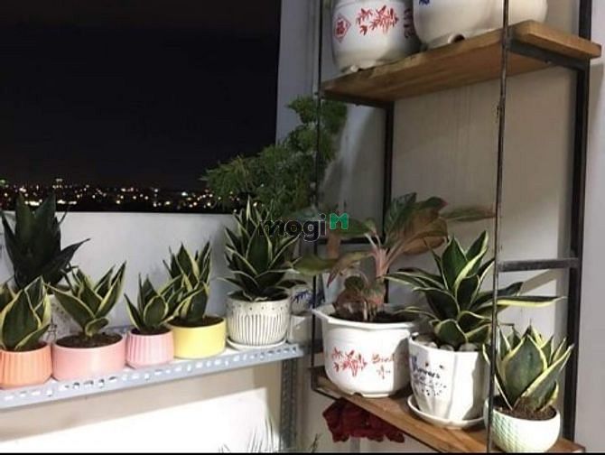 Hình ảnh 🌹🌹 SALE KHỦNG🌹🌹CH Saigon Metro Park Thủ Đức 1tỷ675 51m2 2PN