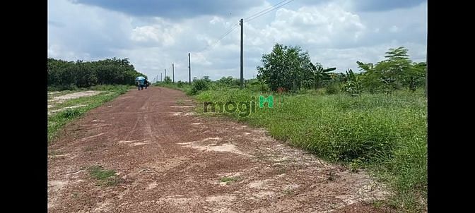 Hình ảnh 20x50 1000m2, 730tr Đất Sào giá rẻ, Nha Bích, Chơn Thành, Bình Phước.