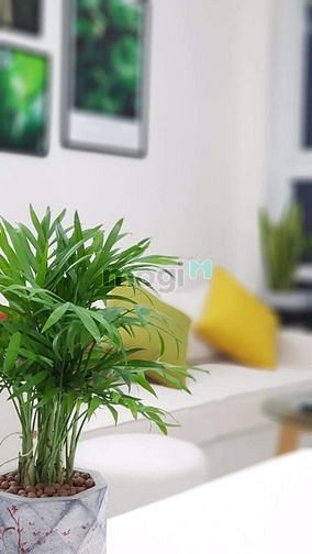 Hình ảnh 🔥CHÍNH CHỦ🔥Bán CH Summer Square Q6 62m2 2PN