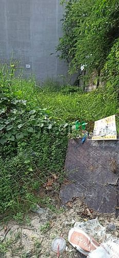 Hình ảnh Đất bán mặt tiền Đường số 6 Linh Tây Tp Thủ Đức
