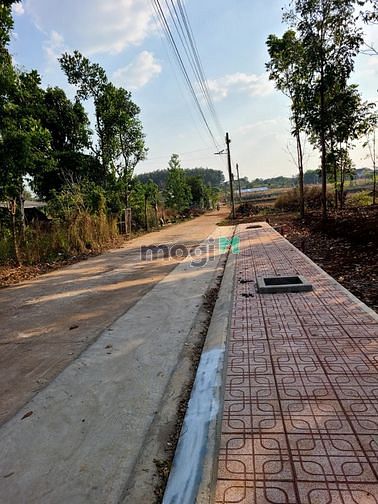 Hình ảnh Chỉ 5tr/m2 sở hữu lô đất sổ sẵn ngay KCN Dầu Giây