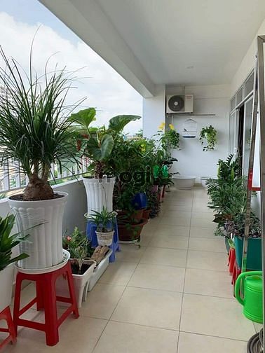 Hình ảnh Mb6623 nạp rút nhanh chóng chung cư Linh Tây Tower, phường Linh Tây, TP. Thủ Đức