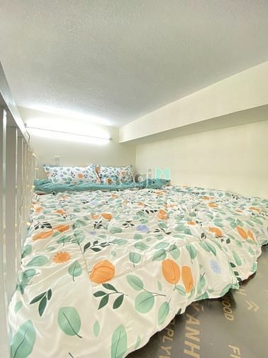 Hình ảnh Cho thuê Trang Chủ MB66.COM Chính Thức, Mb6623 nạp rút nhanh chóng, Studio, có thang may ban công thoáng mát