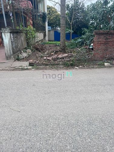 Hình ảnh Bán đất Phụng Châu Chương Mỹ 94m trục chính kinh doanh đỉnh, oto tránh