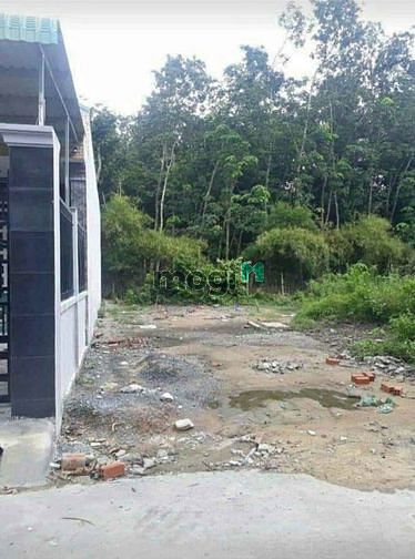 Hình ảnh Bể nợ cần bán gấp sổ sẵn mua về công chứng liền