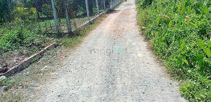 Hình ảnh Bán đất bình nhâm sổ hồng riêng chính chủ