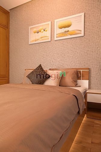 Hình ảnh Cho thuê Him Lam Riverside 100m2 đầy đủ nội thất giá 17tr/th