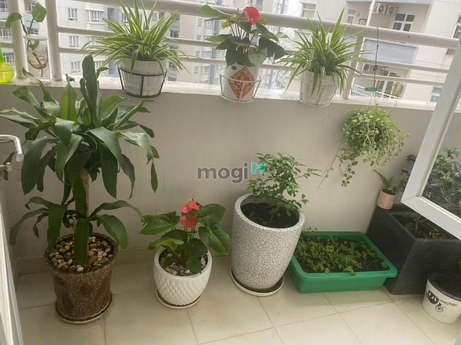 Hình ảnh Bán Trang Chủ MB66.COM / Đăng Ký Tặng 66K Him Lam chợ Lớn 102m2, view thoáng, full nội thất, 4,25 tỷ