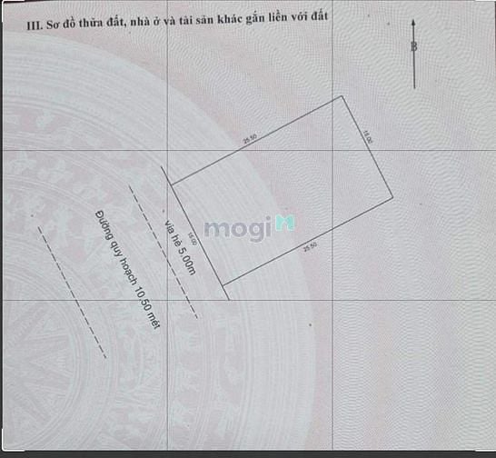 Hình ảnh Đất 2 mặt tiền Biển Mỹ Khê - Đỗ Bá - Trần Bạch Đằng, Đà Nẵng
