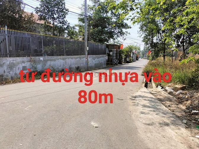 Hình ảnh Đất vườn, sẵn nhà cấp 4 kiên cố, SHR, THỊ TRẤN.