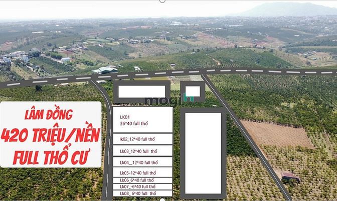 Hình ảnh Đất nền Lâm Đồng 420 triệu/240m2 (lên thổ cư 100%)