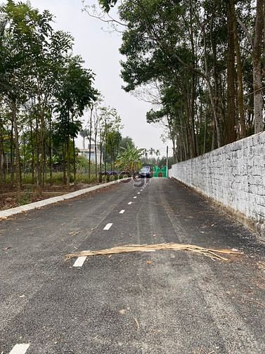 Hình ảnh Ra nước ngoài định cư cùng con nên tôi cần bán mảnh đất hà nội, dt