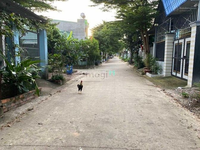 Hình ảnh Đất sổ từng lô giá chỉ 980tr ngay trung tâm TX.Bến Cát