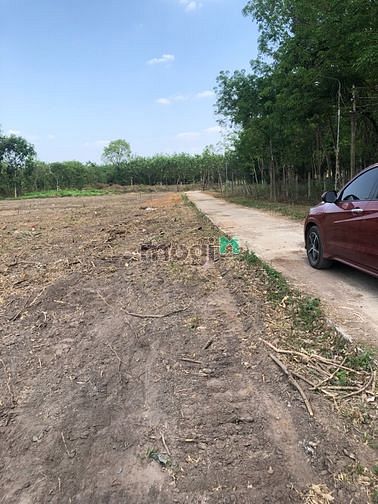 Hình ảnh Siêu Phẩm Đất Thị Xã Cần Bán Gấp