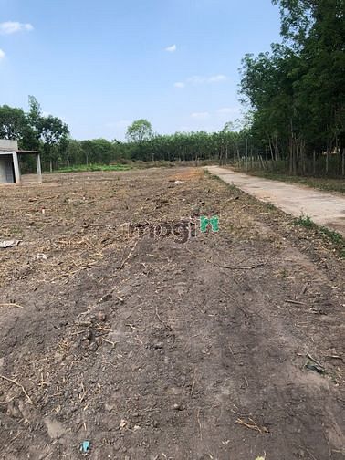 Hình ảnh Siêu Phẩm Đất Thị Xã Cần Bán Gấp