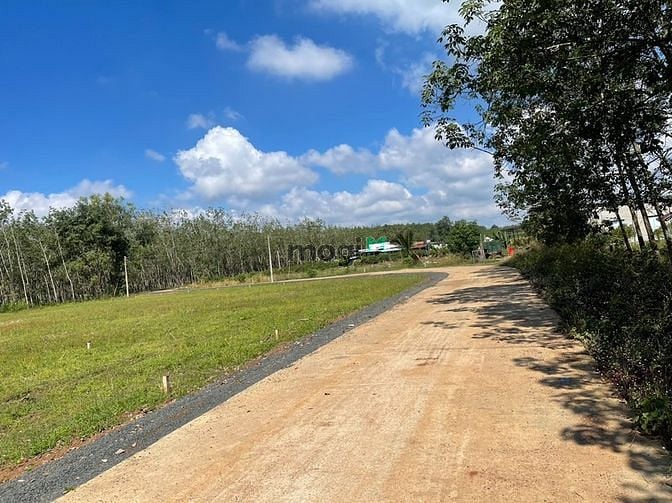 Hình ảnh Đất Chính Chủ Sổ Sẵn Siêu Ngộp