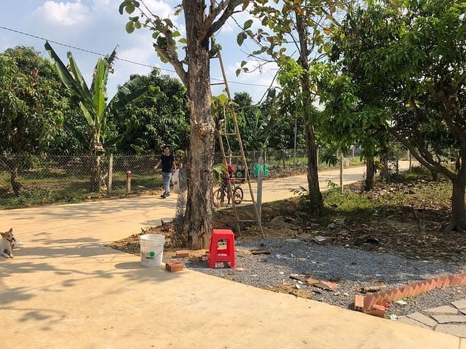 Hình ảnh Miếng 𝗚𝗼́𝗰 𝟭𝟬𝟬𝟬𝗺𝟮 ( nở hậu) 𝗰𝗼́ 𝟮 𝗺𝗮̣̆𝘁 𝘁𝗶𝗲̂̀𝗻