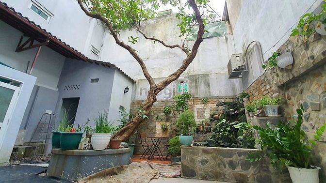 Hình ảnh Cho Thuê biệt thự Quang trung,P.8 . Giá 35 triệu/tháng