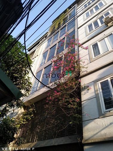 Hình ảnh cho thuê nhà 4 tầng tại Hoàng Văn Thái
