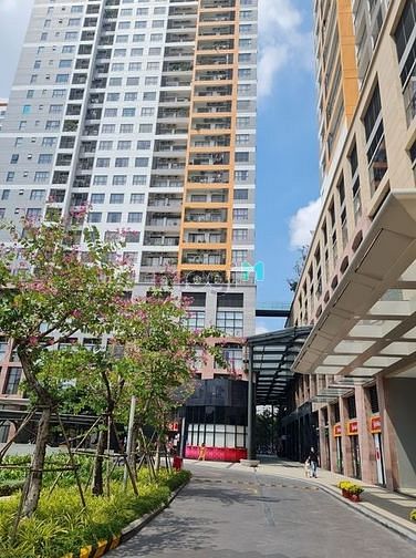 Hình ảnh The Sun Avenue - 2pn cho thuê - Giá cực tốt
