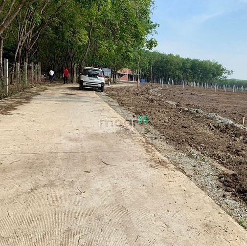 Hình ảnh Hàng cực hót có 300 Diện tích 10x40 tại thị xã