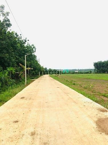 Hình ảnh đất Bình Phước có thổ cư có sổ hồng riêng từng nên
