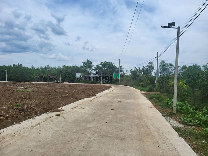 Hình ảnh đất Bình Phước có thổ cư có sổ hồng riêng từng nên