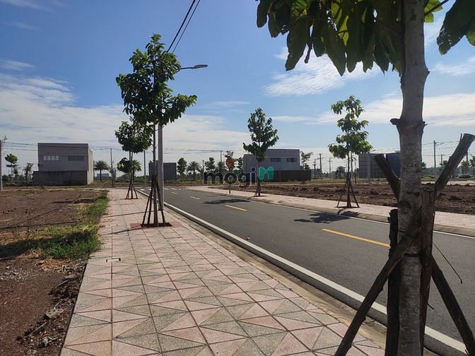 Hình ảnh Đất Đức Hòa sát bên KDL Phước Lộc Thọ đường ĐT824