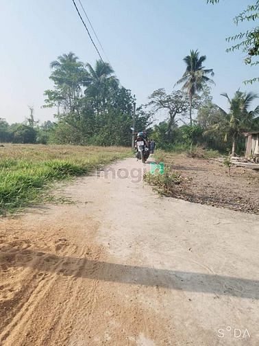 Hình ảnh Bán đất Gần Chợ Gò Đen ,Chủ Ngộp Gửi Bán