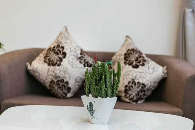 Hình ảnh Căn Hộ View Bờ Kè Siêu Chill - Full Nội Thất