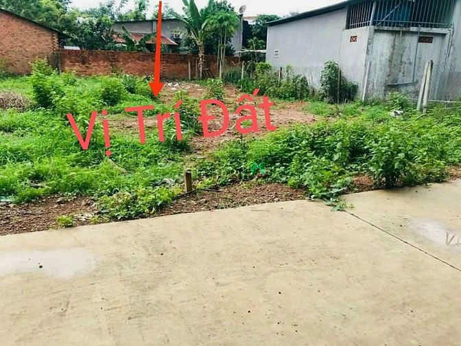 Hình ảnh Đất Nền Sổ Sẵn Gần Khu Công nghiệp Bàu Bàng!