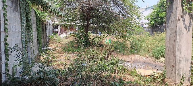 Hình ảnh Đất bán đường số 8 Linh Xuân Tp Thủ Đức