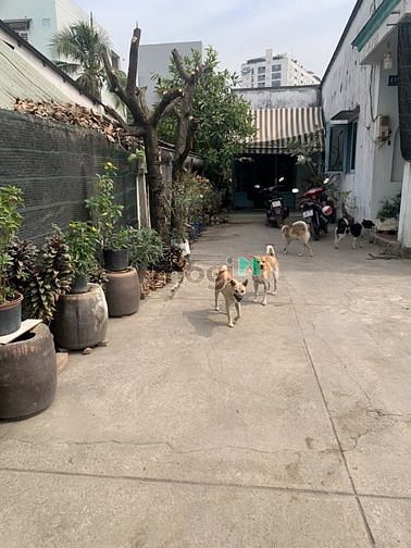 Hình ảnh Bán đất MT Đường 11, Trường Thọ, Thủ Đức. 104m, 6,8 tỷ.