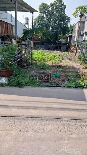 Hình ảnh Cần bán trả nợ gấp lô đất 111m2, đường Lò Lu, có sổ