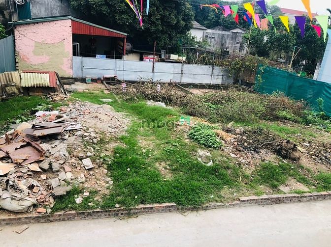 Hình ảnh Cần bán 54,6m2, Đường ô tô tranh nhau tại Mỹ Nội, Bắc Hồng, Đông Anh,