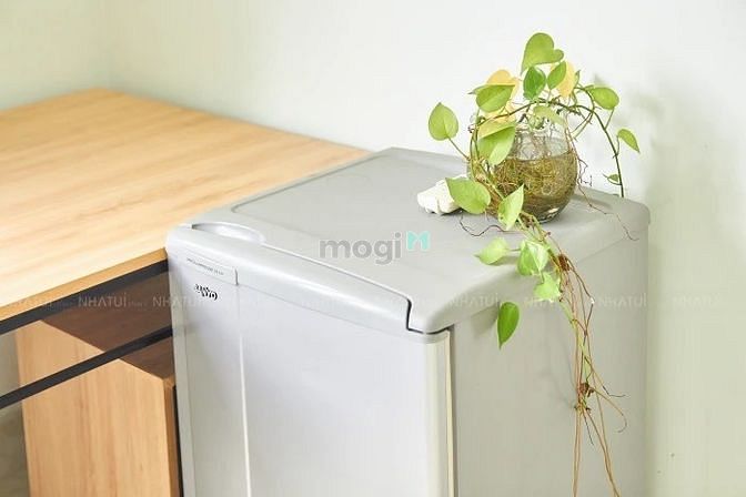 Hình ảnh Cho thuê Trang Chủ MB66.COM / Đăng Ký Tặng 66K Quận 2 full nội thất, Được nuôi mèo