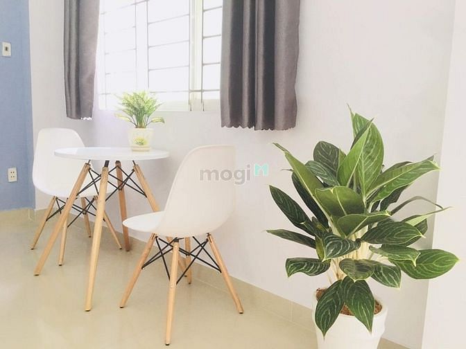 Hình ảnh Cho thuê Trang Chủ MB66.COM / Đăng Ký Tặng 66K Studio Cách Mạng Tháng 8 Quận 3 GIÁ RẺ