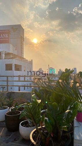 Hình ảnh 🎉🎉 Cho thuê Trang Chủ MB66.COM / Đăng Ký Tặng 66K 40m2 - Xô Viết Nghệ Tĩnh - Quận Bình Thạnh