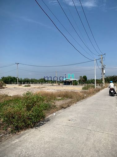 Hình ảnh Bán lô đất đẹp 1450m cách phà Bình Khánh Cần Giờ 2km, giá 3,7 tỷ